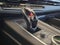 2022 Cadillac Escalade ESV Sport