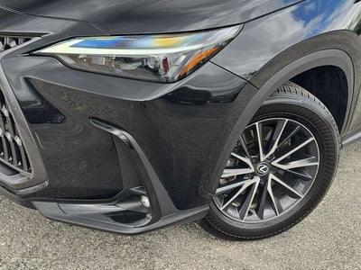 2024 Lexus NX 250 Premium