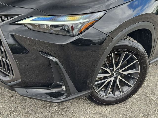 2024 Lexus NX 250 Premium