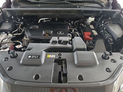 2024 Lexus NX 250 Premium