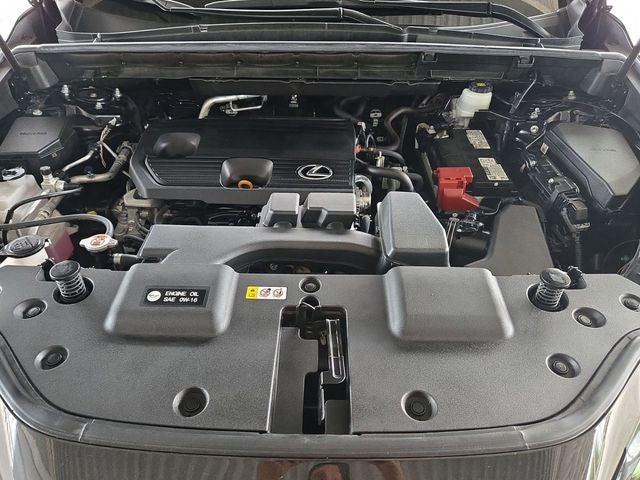 2024 Lexus NX 250 Premium