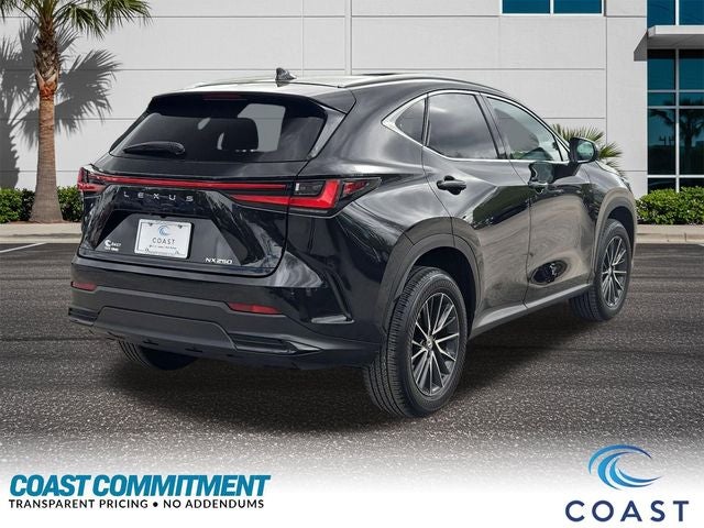 2024 Lexus NX 250 Premium