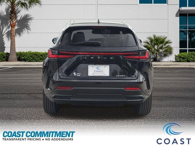 2024 Lexus NX 250 Premium