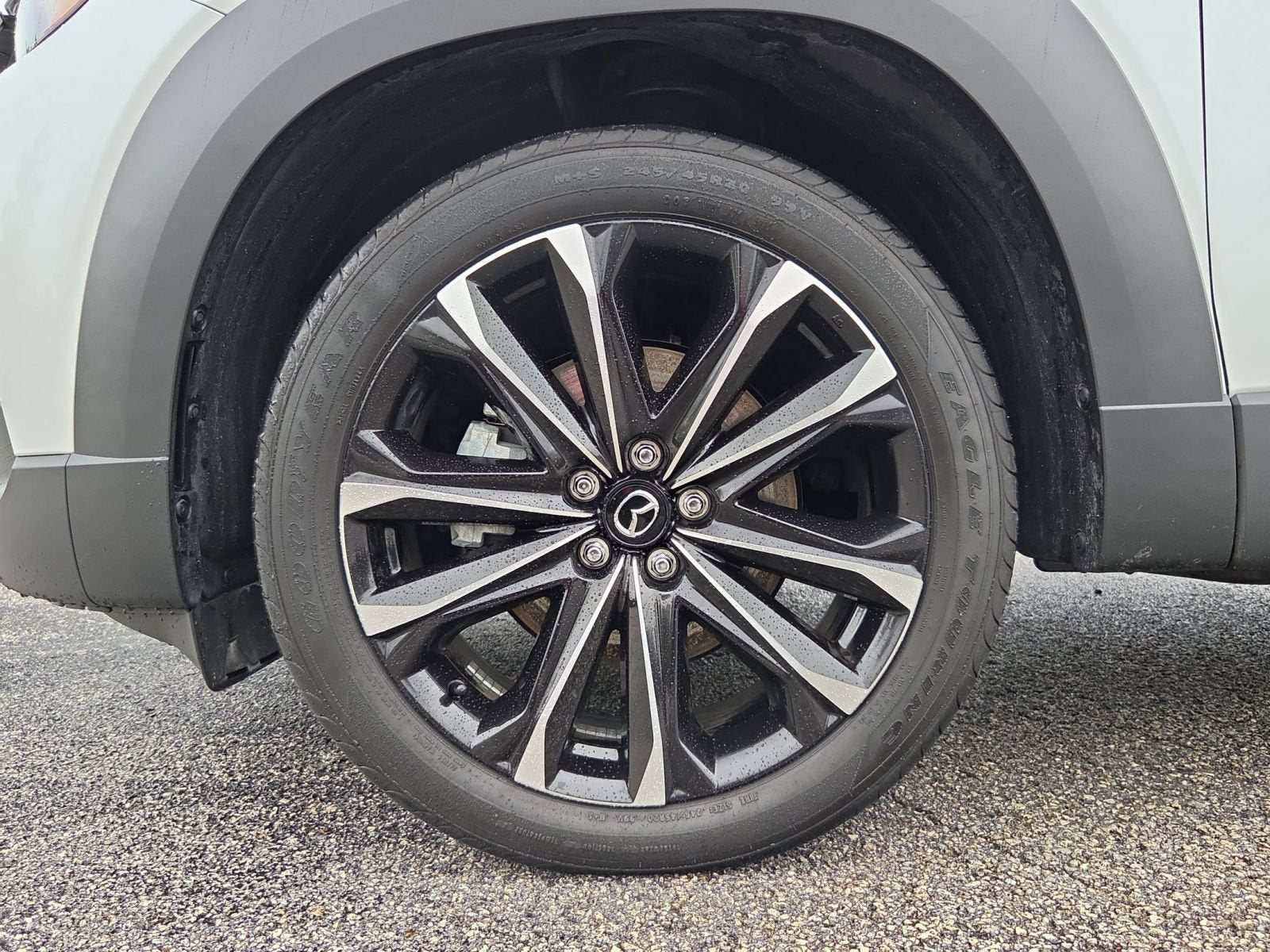 2025 Mazda Mazda CX-50 2.5 S Premium Plus Package