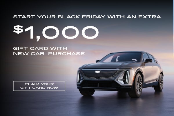 Black Friday Sale – Extra Gift Card with New Purchase