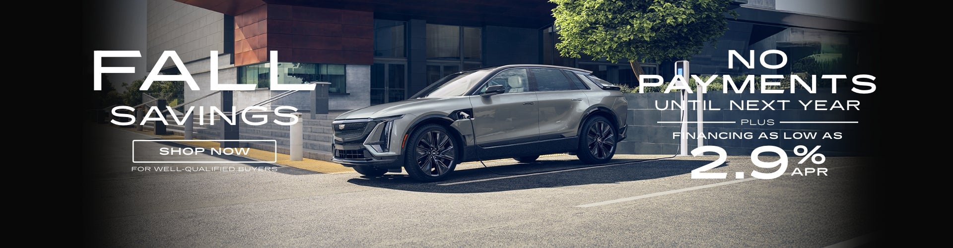 NO PAYMENTS UNTIL NEXT YEAR